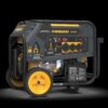 Firman H07552 9400W Dual Fuel Generator