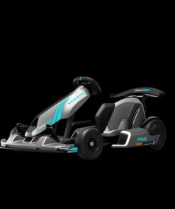 Segway GoKart Pro 2