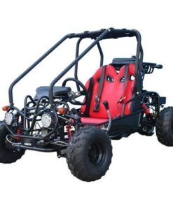 Taotao GK110 Kids Gas Go Kart Dune Buggy