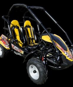 TrailMaster Blazer 200R Mid Go- Kart